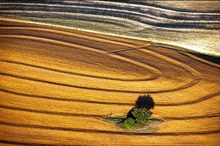 Cánh đồng ở Springfield, Nebraska, năm 2011